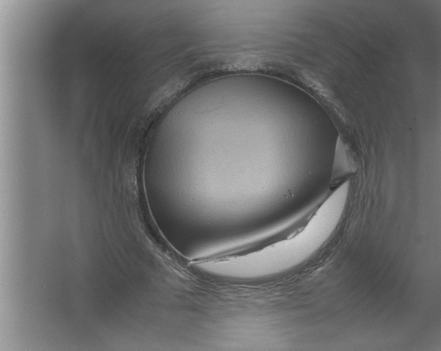 X0000067480681200604281921