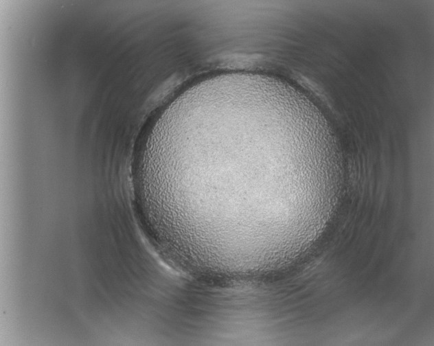 X0000067480682200604281921