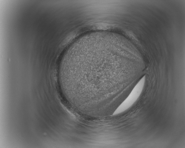 X0000067480683200604281921