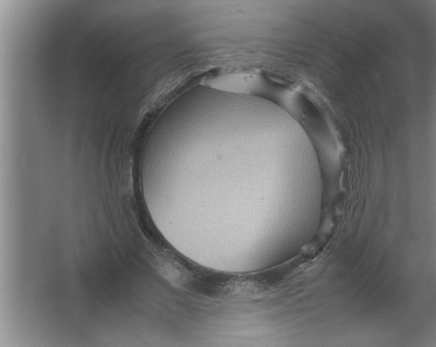 X0000067480685200604281921