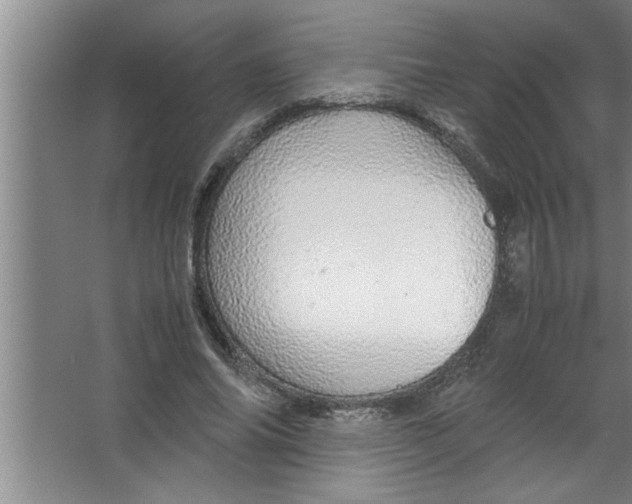 X0000067480686200604281920