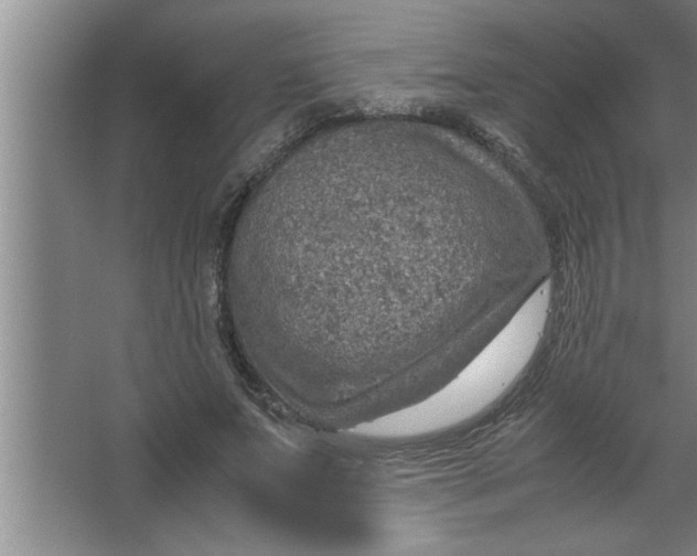 X0000067480687200604281920