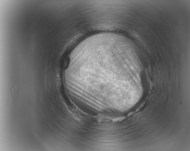 X0000067480688200604281920