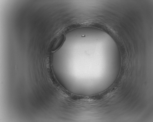 X0000067480689200604281920