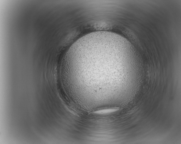 X0000067480690200604281920