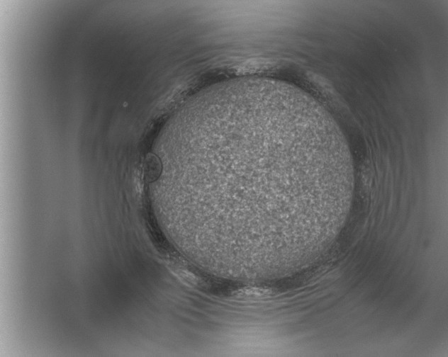 X0000067480691200604281920