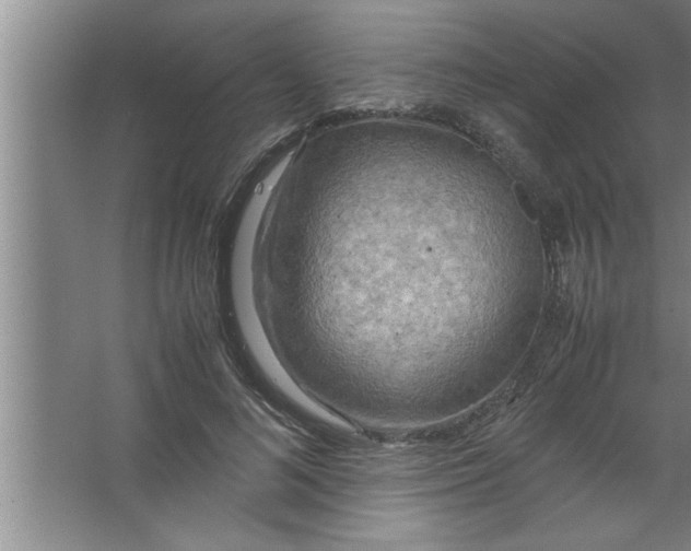 X0000067480692200604281920