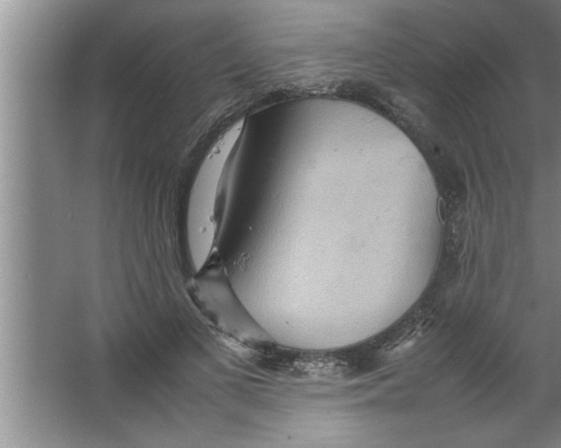 X0000067480693200604281920