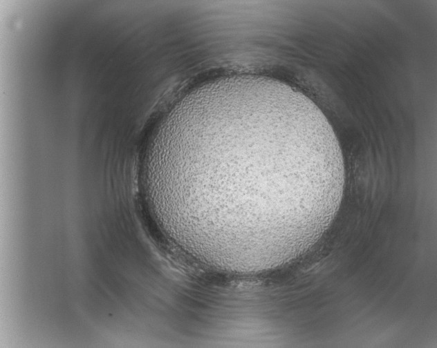 X0000067480694200604281920