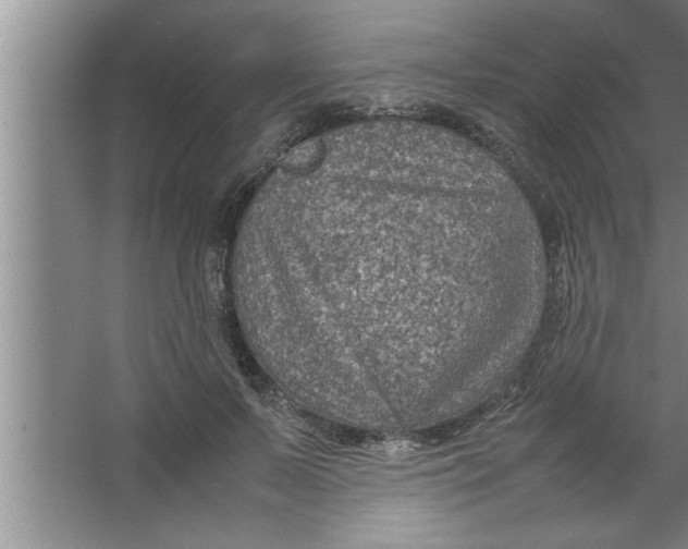 X0000067480695200604281920