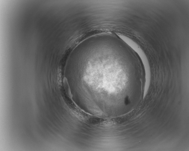 X0000067480696200604281920