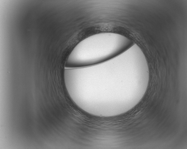 X0000067480697200604281920