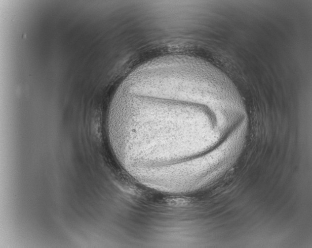 X0000067480698200604281920