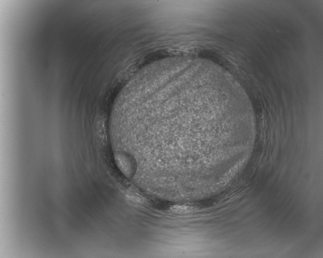 X0000067480699200604281920