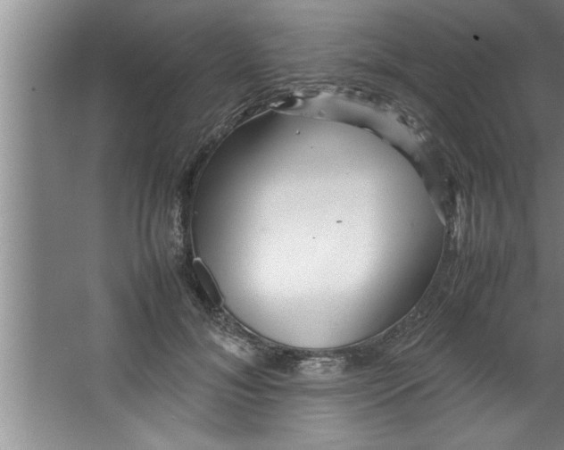 X0000067480700200604281920