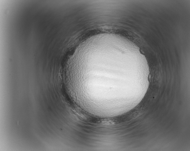 X0000067480702200604281920