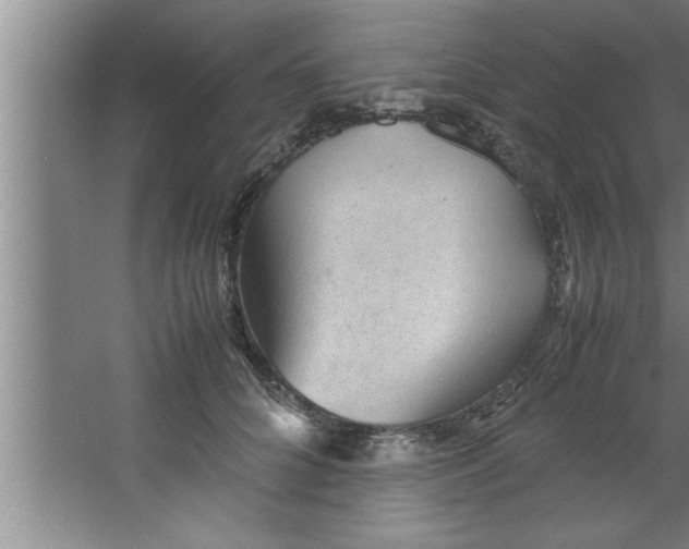 X0000067480704200604281920