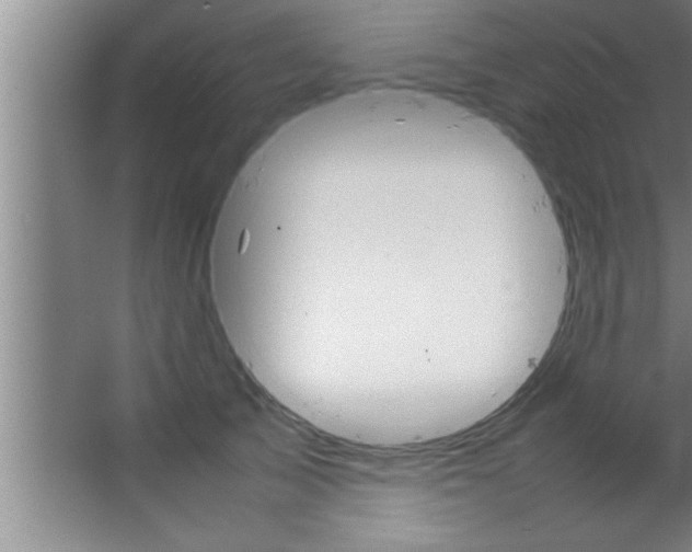 X0000067480705200604281920