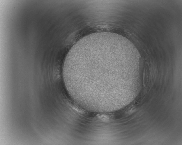 X0000067480706200604281920