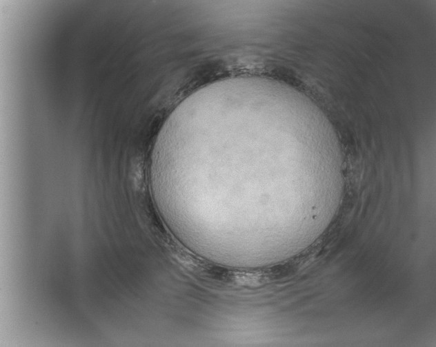 X0000067480709200604281920