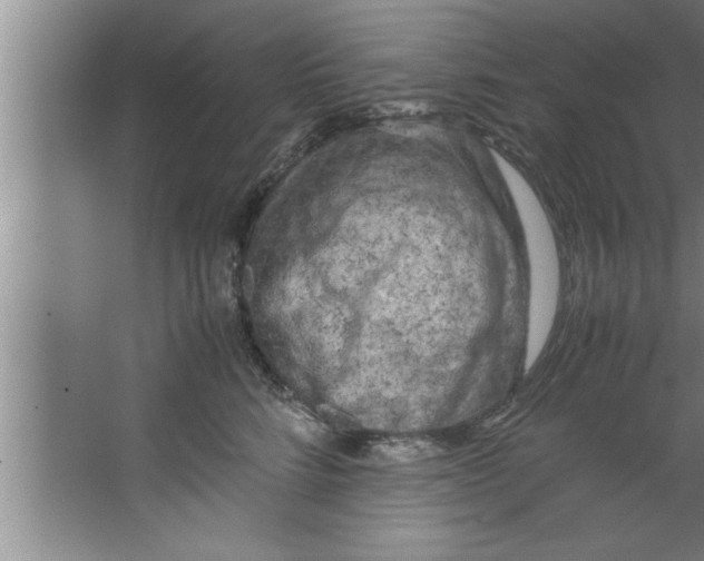 X0000067480712200604281920