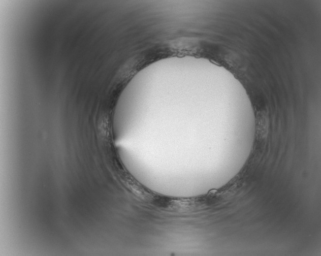 X0000067480713200604281920