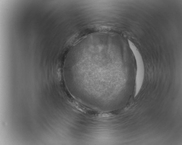 X0000067480716200604281920