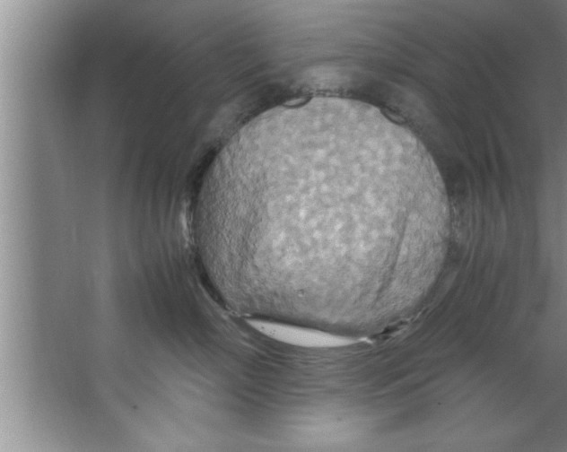 X0000067480718200604281920