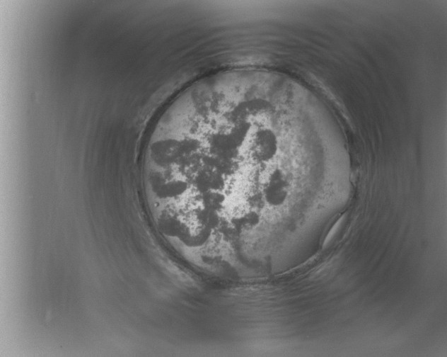 X0000067480721200604281919