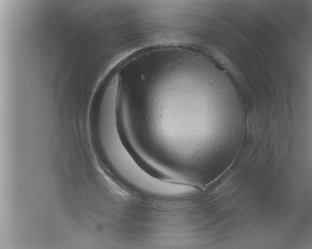 X0000067480722200604281919