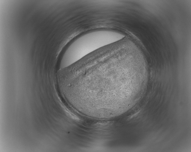 X0000067480725200604281919