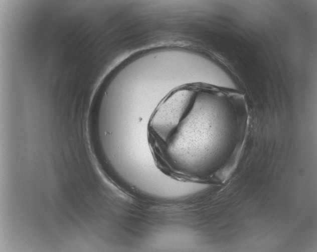 X0000067480726200604281919