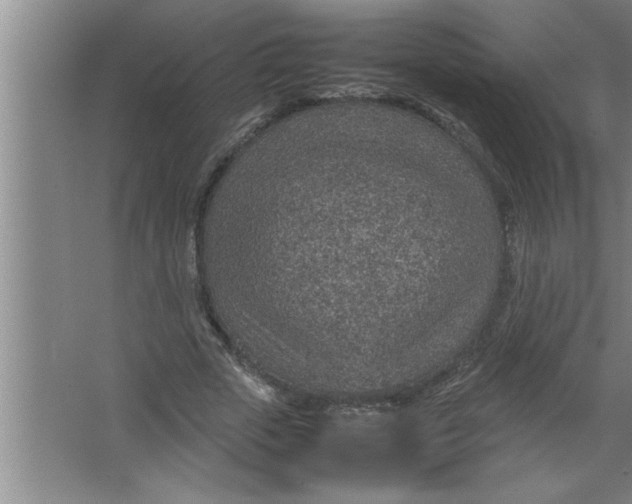 X0000067480729200604281919