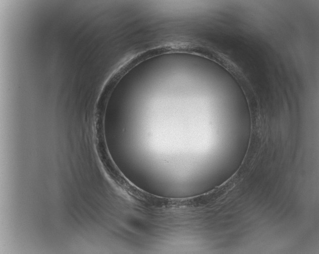 X0000067480730200604281919