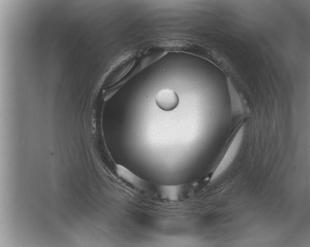 X0000067480731200604281919