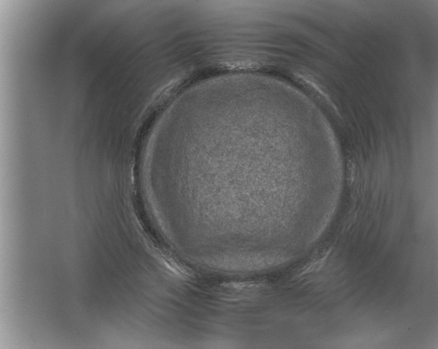 X0000067480733200604281919