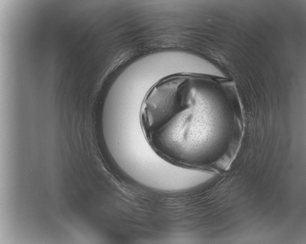 X0000067480735200604281919