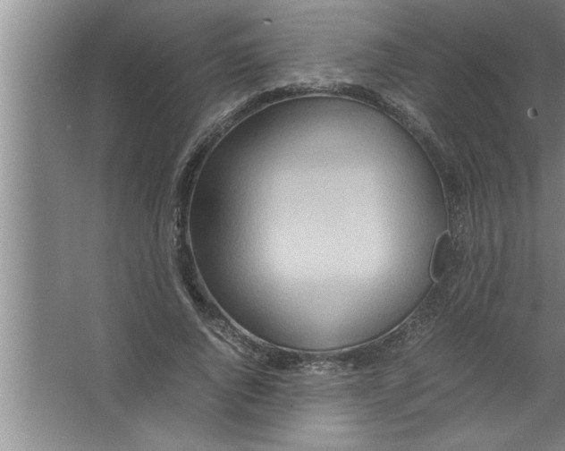 X0000067480736200604281919