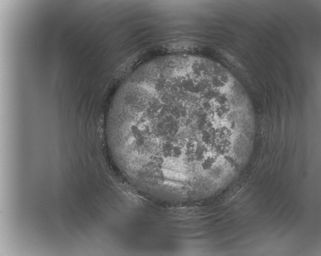 X0000067480737200604281919