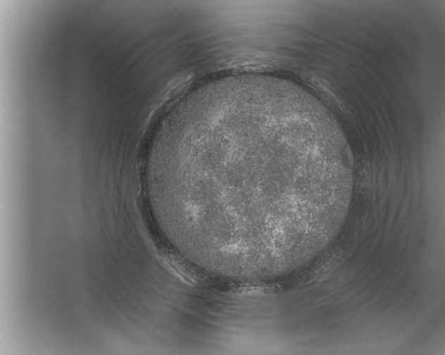 X0000067480738200604281919