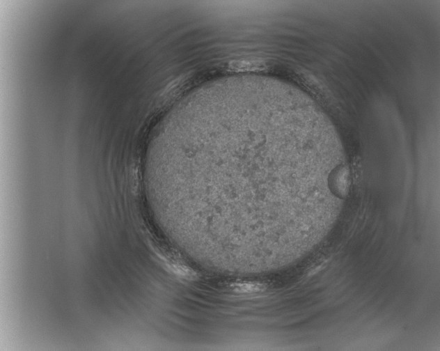 X0000067480741200604281919