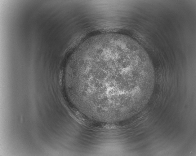 X0000067480742200604281919