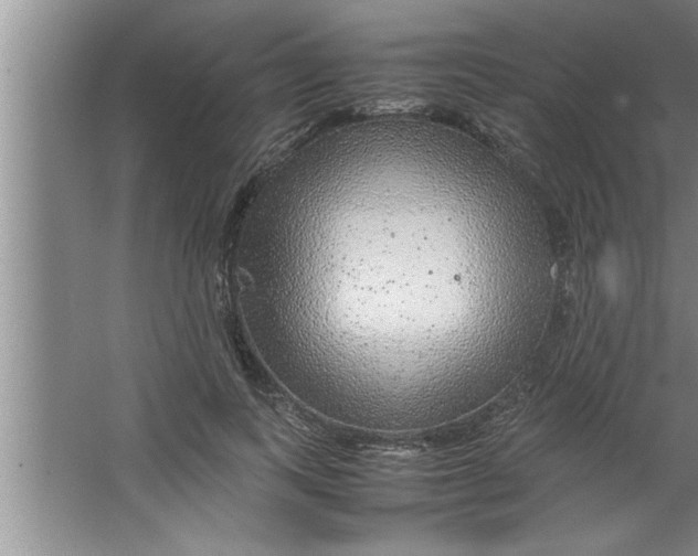 X0000067480743200604281919