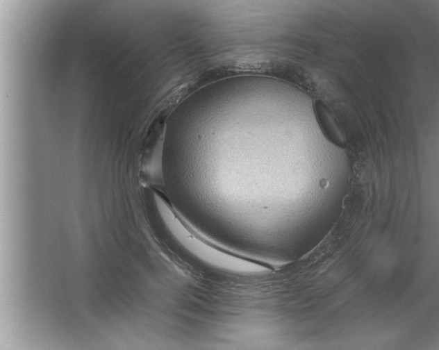 X0000067480744200604281919