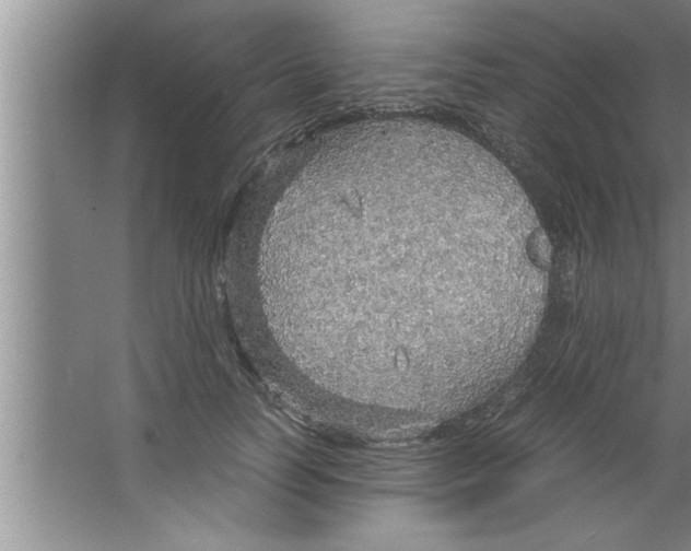 X0000067480746200604281920