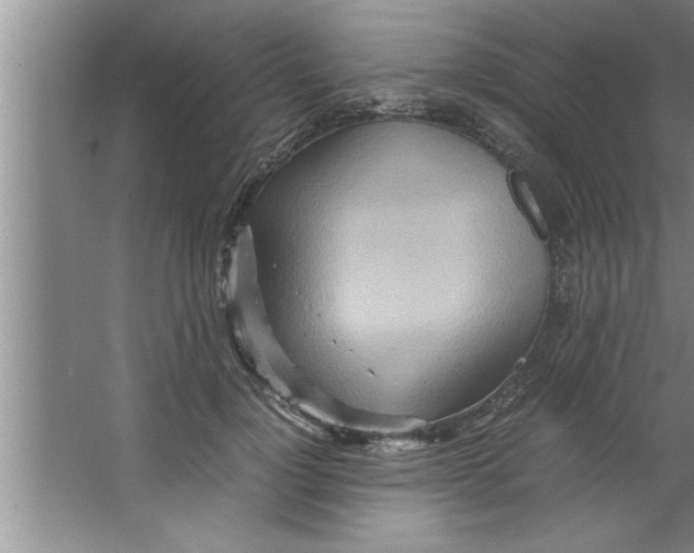 X0000067480748200604281920