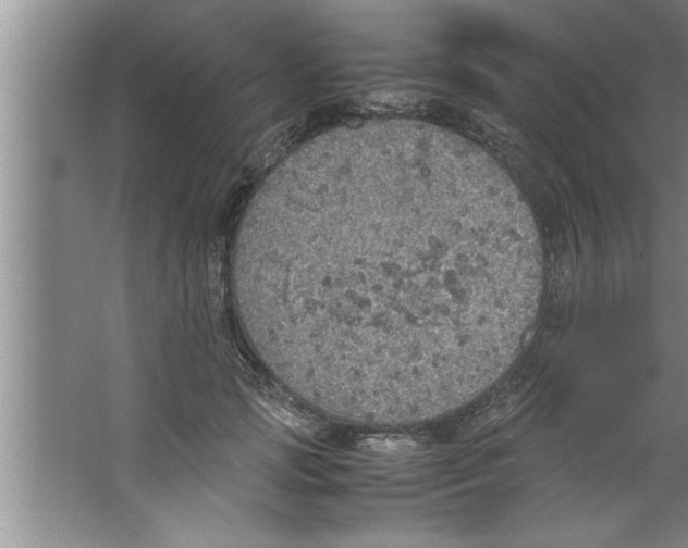 X0000067480749200604281920