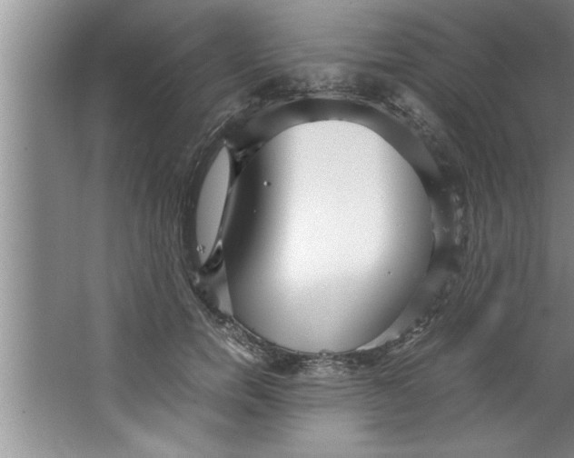 X0000067480750200604281920