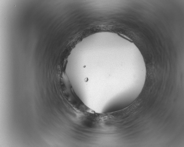 X0000067480752200604281920