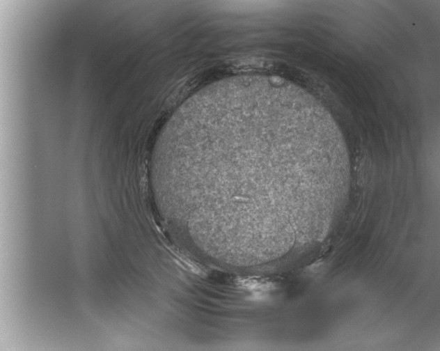 X0000067480753200604281920